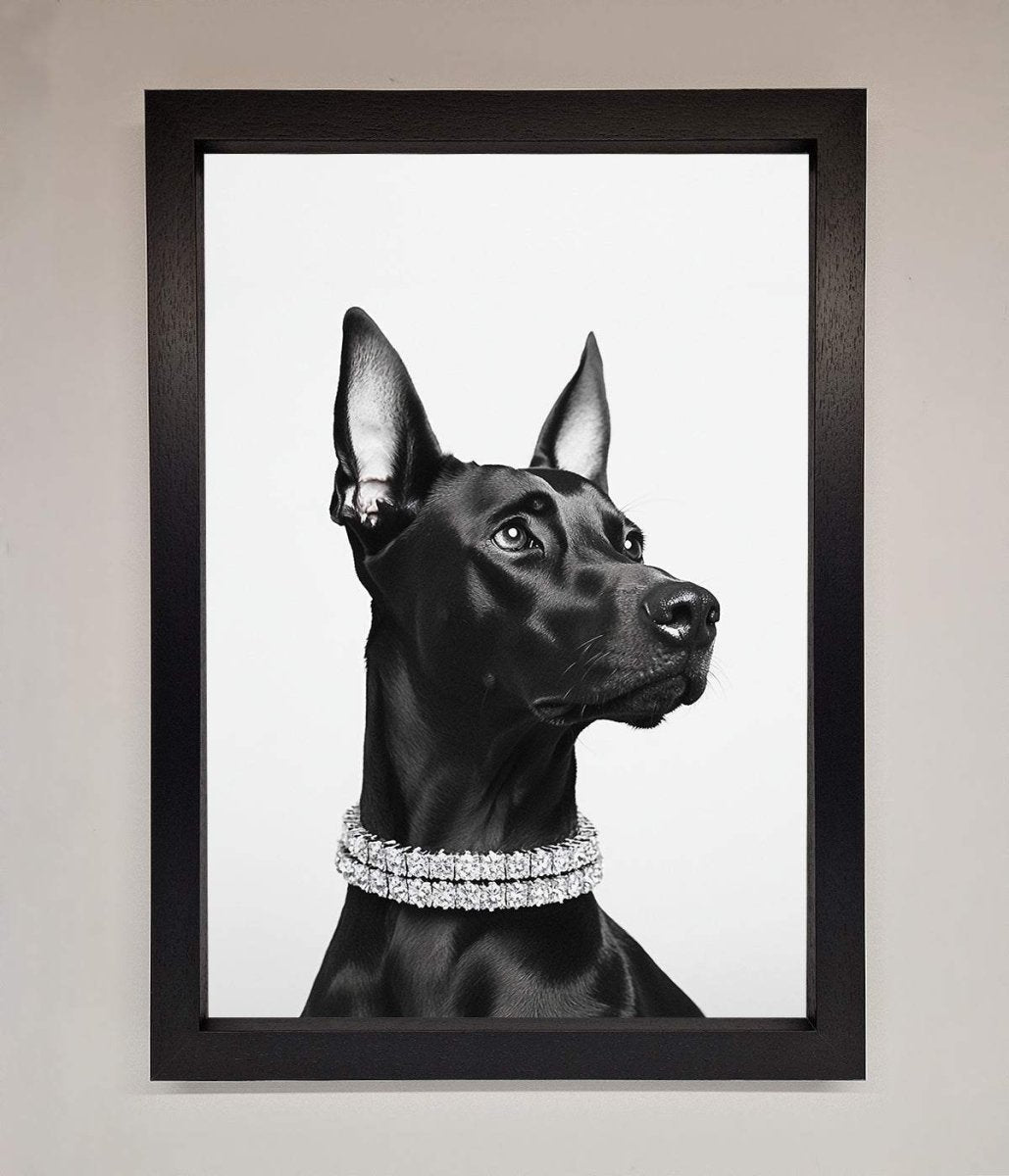 Black Doberman Framed Poster