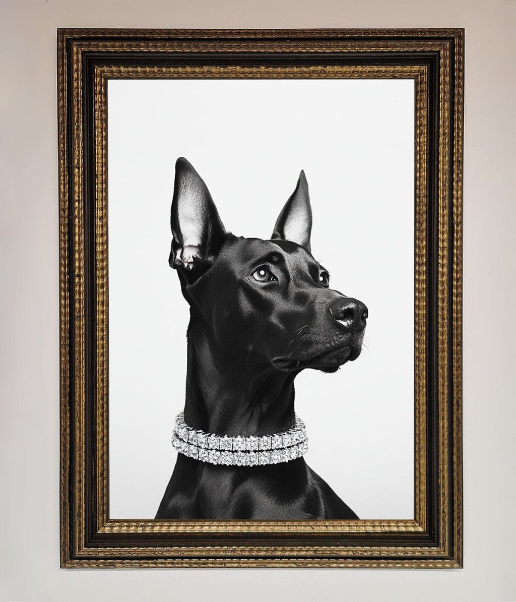 Black Doberman Framed Poster