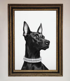 Black Doberman Framed Poster