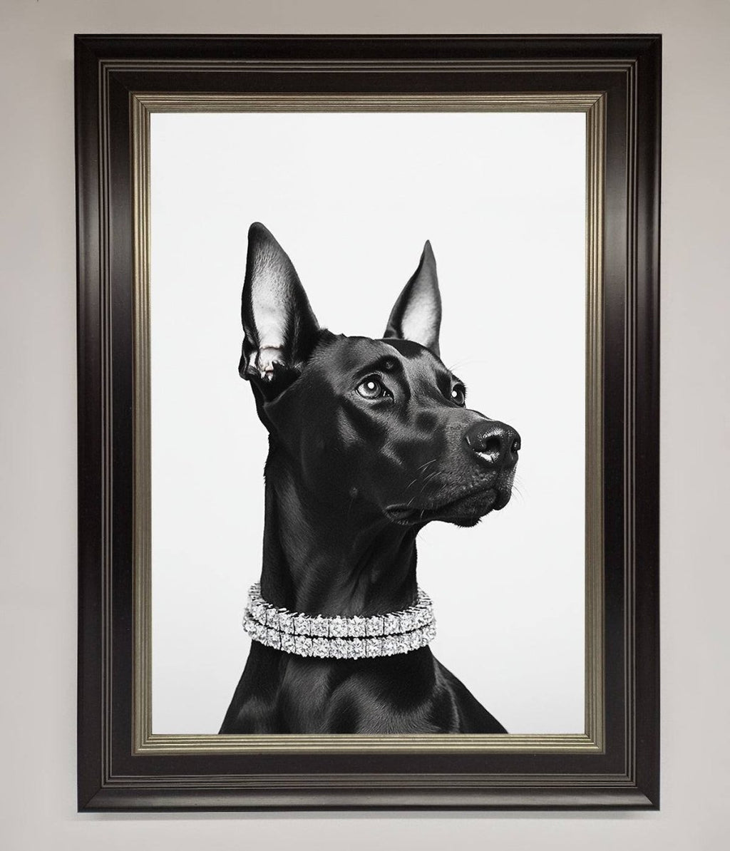 Black Doberman Framed Poster