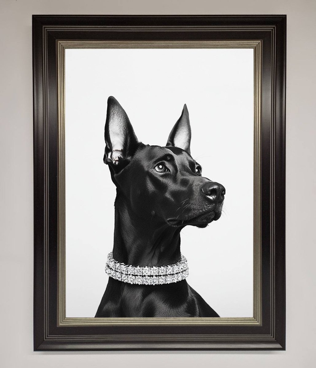 Black Doberman Framed Poster