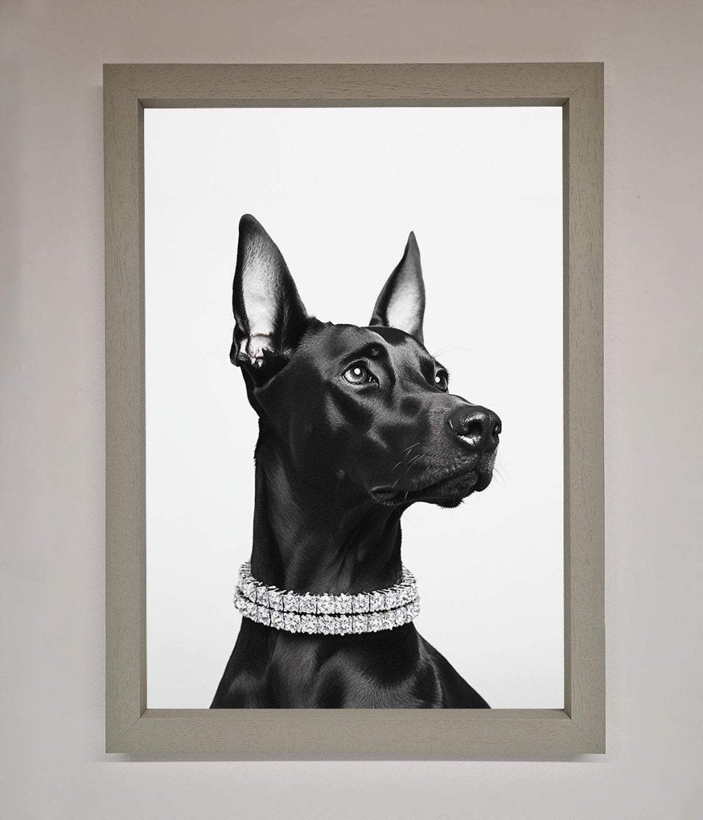 Black Doberman Framed Poster