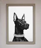 Black Doberman Framed Poster