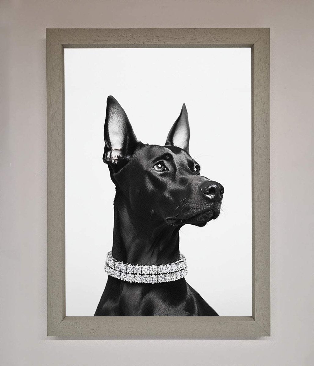 Black Doberman Framed Poster