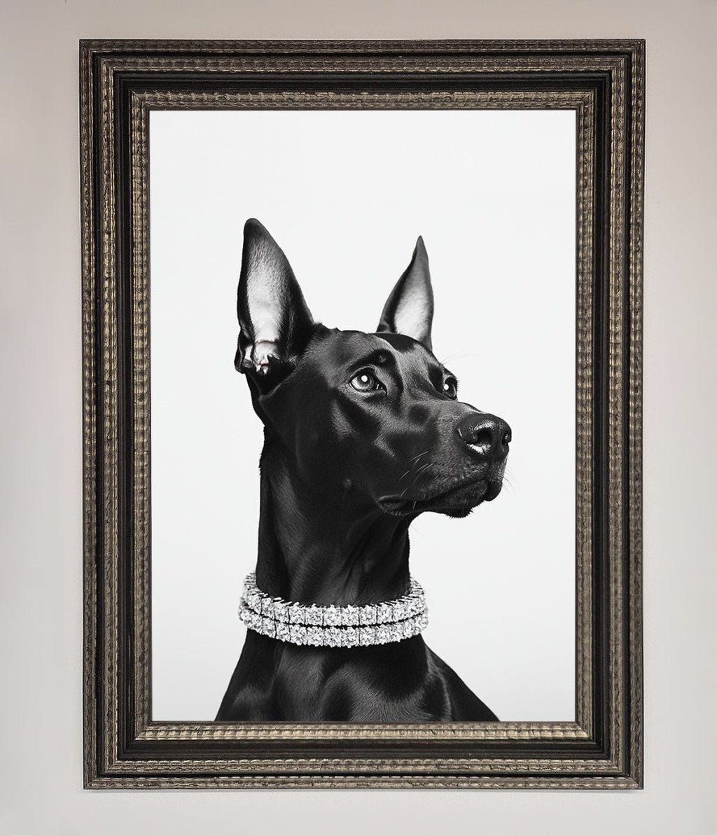 Black Doberman Framed Poster