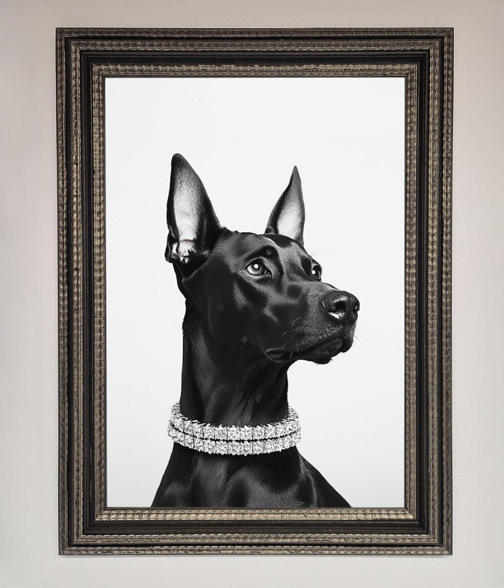 Black Doberman Framed Poster