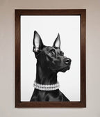 Black Doberman Framed Poster