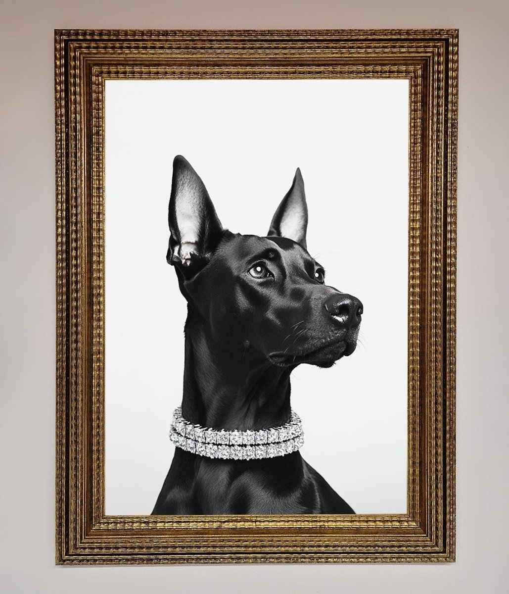 Black Doberman Framed Poster