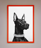 Black Doberman Framed Poster