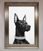 Black Doberman Framed Poster