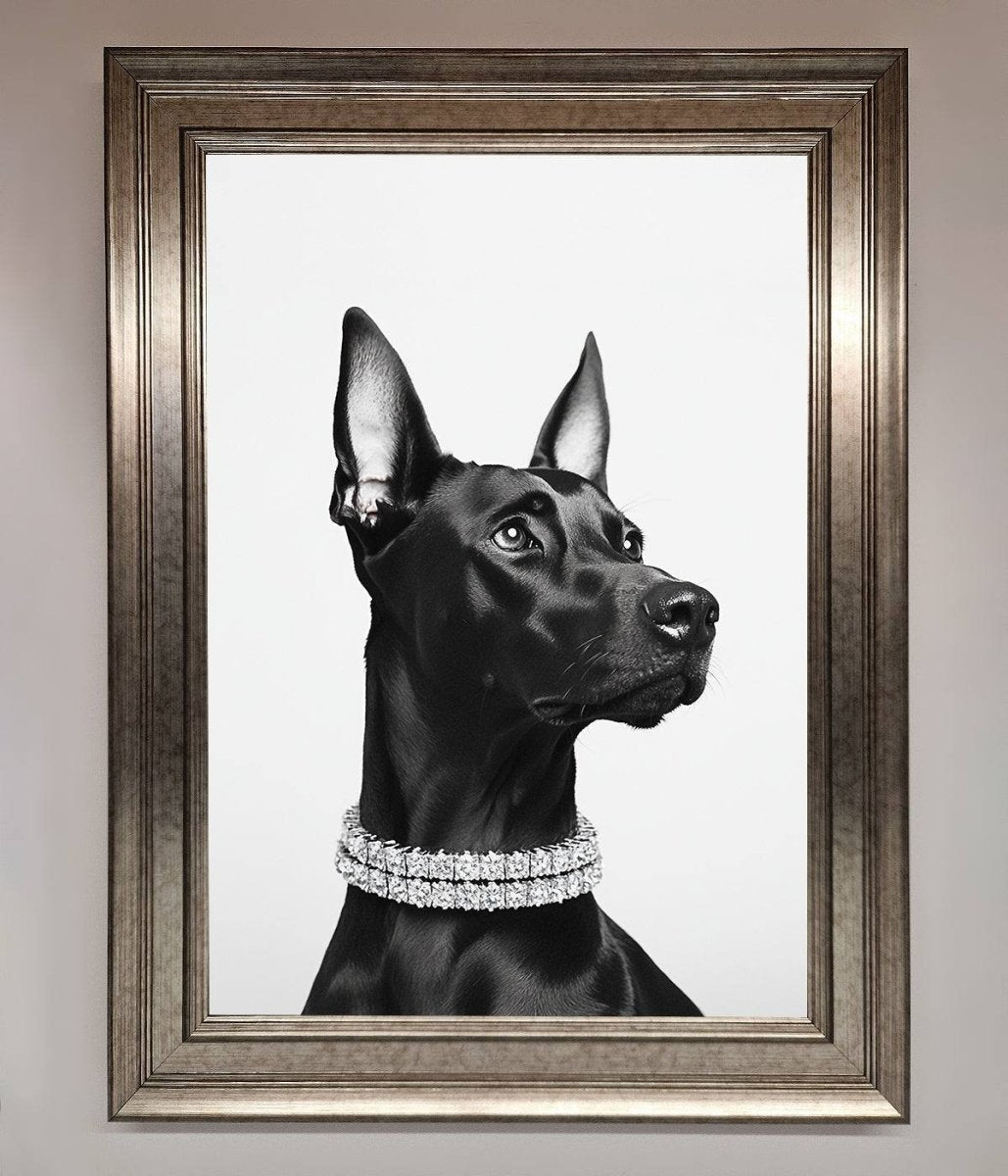 Black Doberman Framed Poster