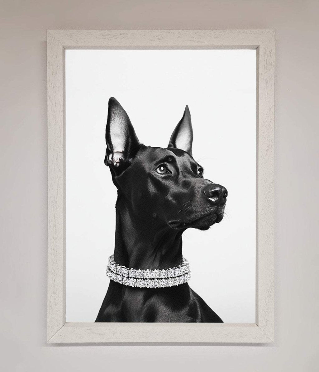 Black Doberman Framed Poster