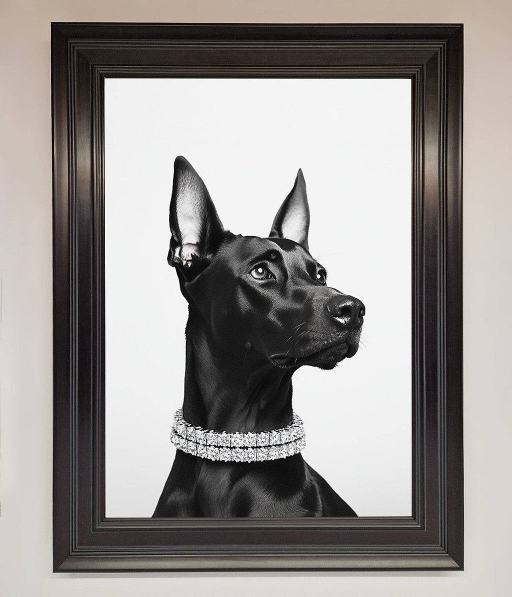 Black Doberman Framed Poster