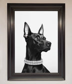 Black Doberman Framed Poster