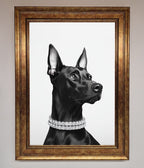 Black Doberman Framed Poster