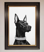 Black Doberman Framed Poster