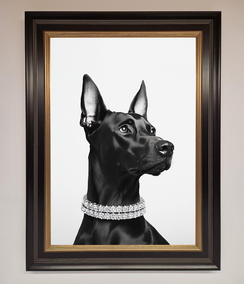 Black Doberman Framed Poster