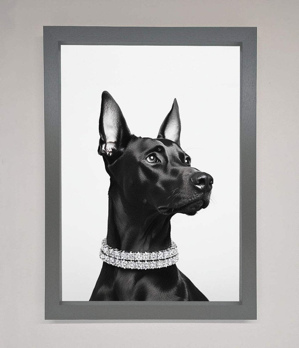Black Doberman Framed Poster