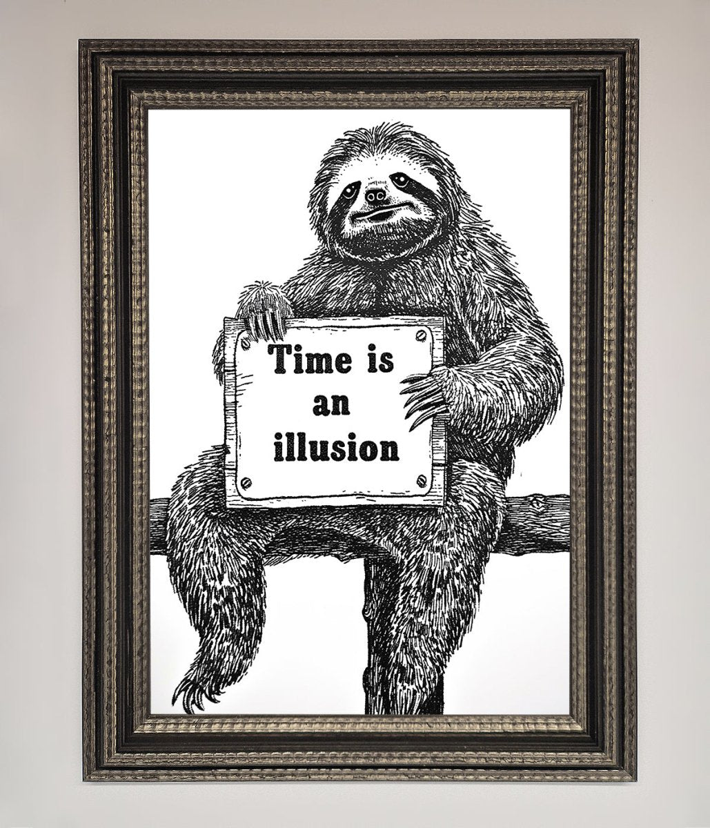 Time Is An Illusion Sloth Framed Poster